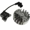 Bobine D'allumage 1e34f-2e-3 + Volant Pour Debroussailleuse Al-ko -Débroussailleuse Soldes Magasin 11727868 1