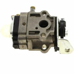 Carburateur + Vis Reglage Pour Debroussailleuse Tck Garden