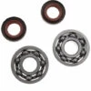JARDIAFFAIRES Jeu De Joints Et Roulements De Vilebrequin Stihl FS120, FS200 Et FS250