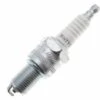 JARDIAFFAIRES Bougie Champion RN7YC Pour Moteur Thermique