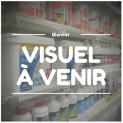 AUTRES Thermometre Flottant En Abs