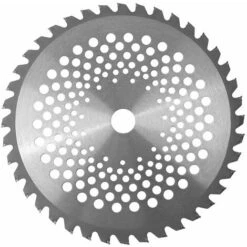 ARC-EN-CIéL Lame De Débroussailleuse Lames De Scie à Bois De 40 Dents 1'' Diamètre De L'alésage 10'' Lames à Pointe En Carbure Pour L'herbe De Jardin 1,5x255x25,4mm,Arcenciél