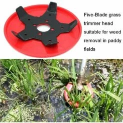 AOUGO Tête De Tondeuse Universelle Weed Edge Tondeuse à Gazon à Arbre Droit Lame De Débroussailleuse Pour Rizière Home Garden Backyard Orchard Park Agricultural 11 AOUGO Tête De Tondeuse Universelle Weed Edge Tondeuse à Gazon à Arbre Droit Lame De Débroussailleuse Pour Rizière Home Garden Backyard Orchard Park Agricultural -Débroussailleuse Soldes Magasin 64903130 5