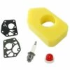 BAICCCF Accessoire Pour Débroussailleuse Filtre à Air Pour Tondeuse à Gazon Compatible Avec Briggs & Stratton Classic & Sprint 1 BAICCCF Accessoire Pour Débroussailleuse Filtre à Air Pour Tondeuse à Gazon Compatible Avec Briggs & Stratton Classic & Sprint -Débroussailleuse Soldes Magasin 65669489 1