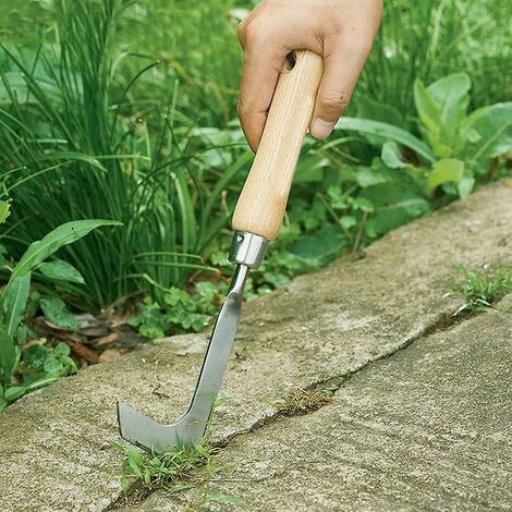 DONTODENT Outil De Désherbage En Acier Inoxydable Désherbeur À Main Désherbeur Manuel Outil De Jardin Pour Le Désherbage Rapide Du Sol Et Du Jardin 30,5 Cm De Long 1 Pièce 6 DONTODENT Outil De Désherbage En Acier Inoxydable Désherbeur À Main Désherbeur Manuel Outil De Jardin Pour Le Désherbage Rapide Du Sol Et Du Jardin 30,5 Cm De Long 1 Pièce – Image 4