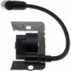 JARDIAFFAIRES Bobine D'allumage Adaptable Pour Moteur Tecumseh Remplace 35135B 1 JARDIAFFAIRES Bobine D'allumage Adaptable Pour Moteur Tecumseh Remplace 35135B -Débroussailleuse Soldes Magasin 9388895 1