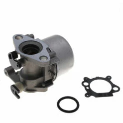 JARDIAFFAIRES Carburateur Adaptable Pour Moteur Briggs Stratton Remplace 799871